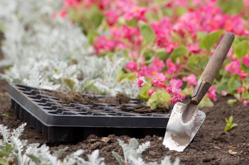 Clean and maintained garden space