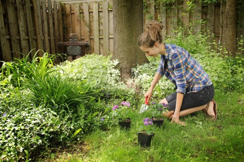 Well-maintained mower and tools laid out for pre-use check